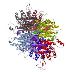 Image of CATH 1w0c