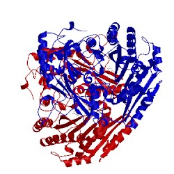 Image of CATH 1w1j