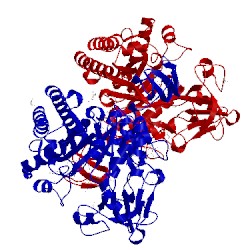 Image of CATH 1w1v