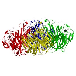 Image of CATH 1w1x