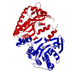 Image of CATH 1w2d