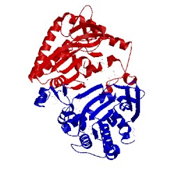 Image of CATH 1w2f