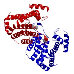 Image of CATH 1w2y