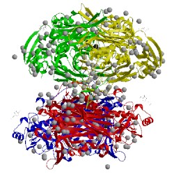 Image of CATH 1w2z