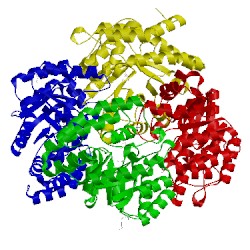 Image of CATH 1w3i