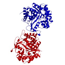 Image of CATH 1w3j