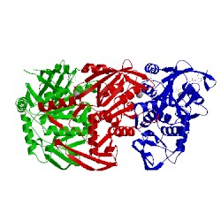 Image of CATH 1w49