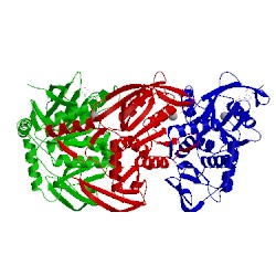 Image of CATH 1w4b