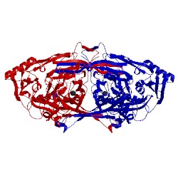 Image of CATH 1w4n