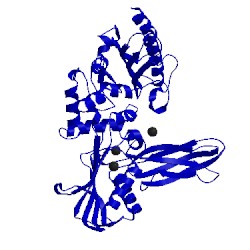 Image of CATH 1w5d