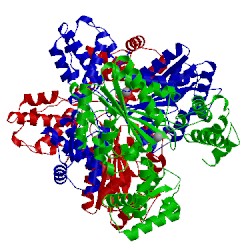 Image of CATH 1w5t