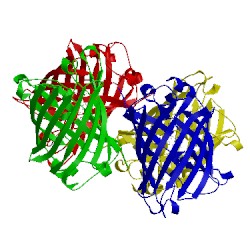 Image of CATH 1w7t