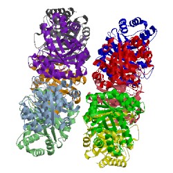Image of CATH 1w8s