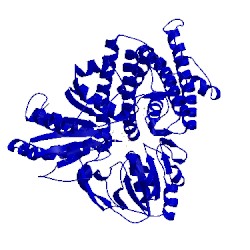 Image of CATH 1w9m