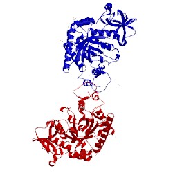 Image of CATH 1w9p