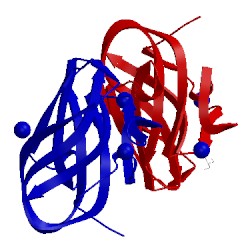Image of CATH 1w9s