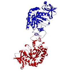 Image of CATH 1w9v