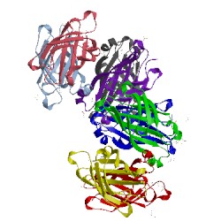 Image of CATH 1wbi