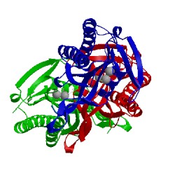 Image of CATH 1wc1