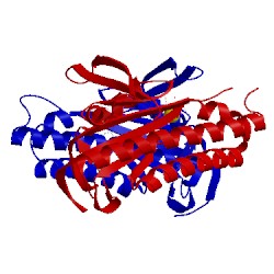 Image of CATH 1wc3