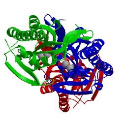 Image of CATH 1wc6