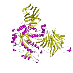 Image of CATH 1we5B