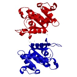 Image of CATH 1weh