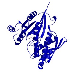 Image of CATH 1wf3