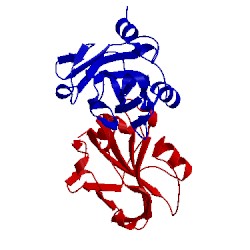 Image of CATH 1wko