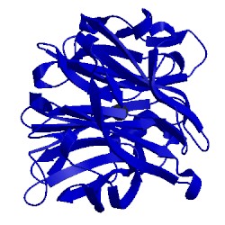 Image of CATH 1wl7
