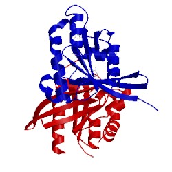 Image of CATH 1wms