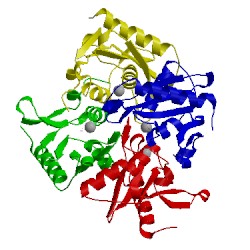 Image of CATH 1wn5