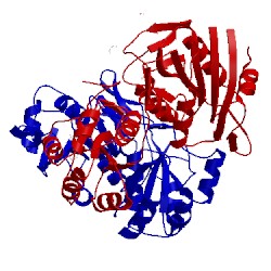 Image of CATH 1wnf