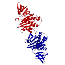 Image of CATH 1wnl