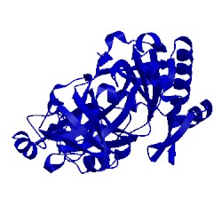 Image of CATH 1wos