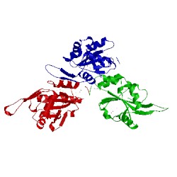 Image of CATH 1wp0