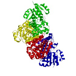 Image of CATH 1wp4
