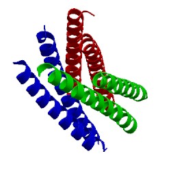 Image of CATH 1wp8