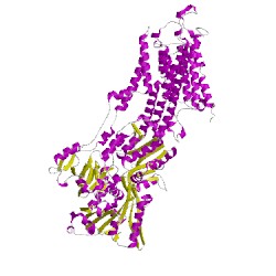 Image of CATH 1wpgD