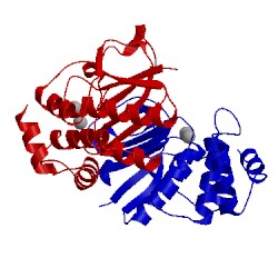 Image of CATH 1wpn