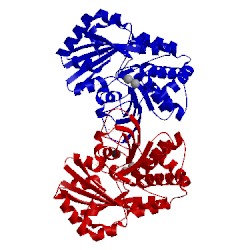 Image of CATH 1wpp