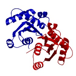 Image of CATH 1wpt