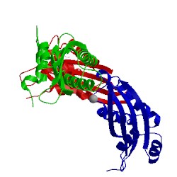 Image of CATH 1wpv