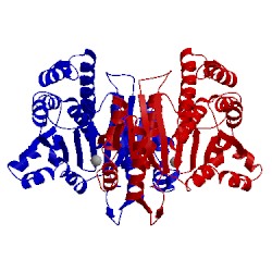 Image of CATH 1wpw