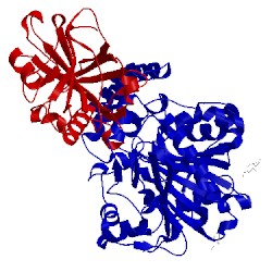 Image of CATH 1wpx