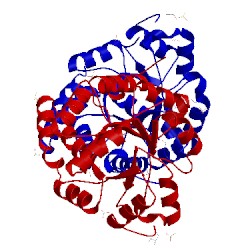 Image of CATH 1wq5