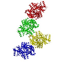 Image of CATH 1wqa