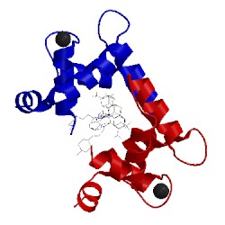 Image of CATH 1wrk