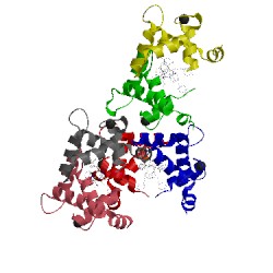Image of CATH 1wrl