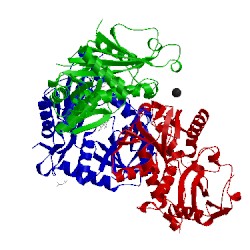Image of CATH 1wrv